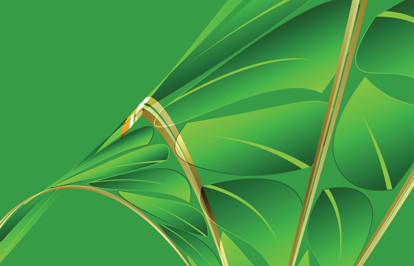 Abstract image of a green leaf