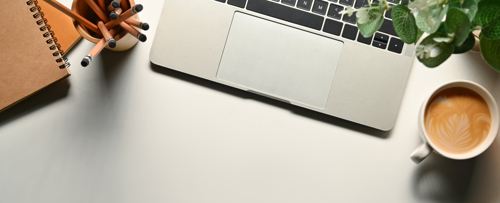 Overhead view of a laptop, notepad, potted plant and coffee on a white desk