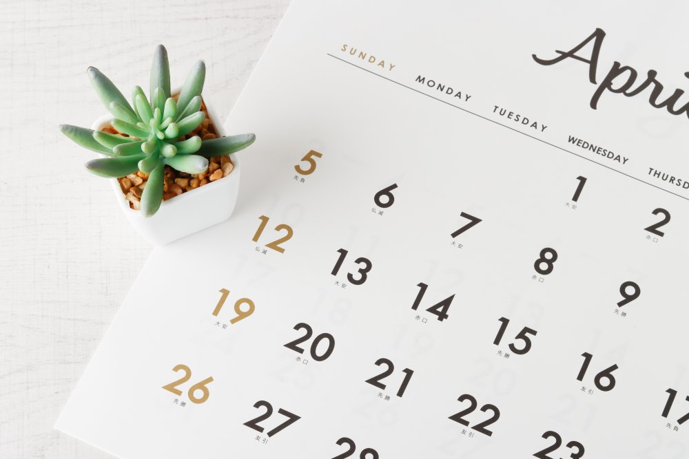 close up view of page from calendar and a plant sitting on a table